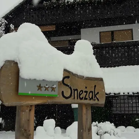 Snezak Apartment Bohinj Exterior photo