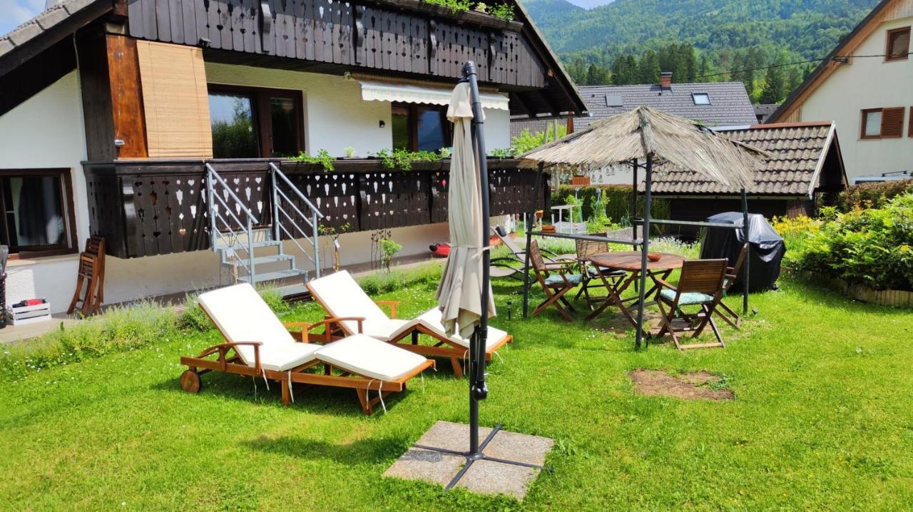 Snezak * Bohinj