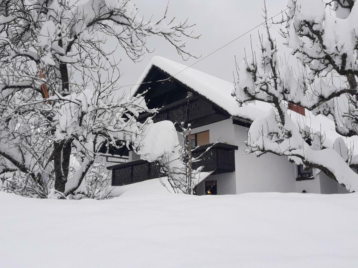 Snezak Apartma Bohinj
