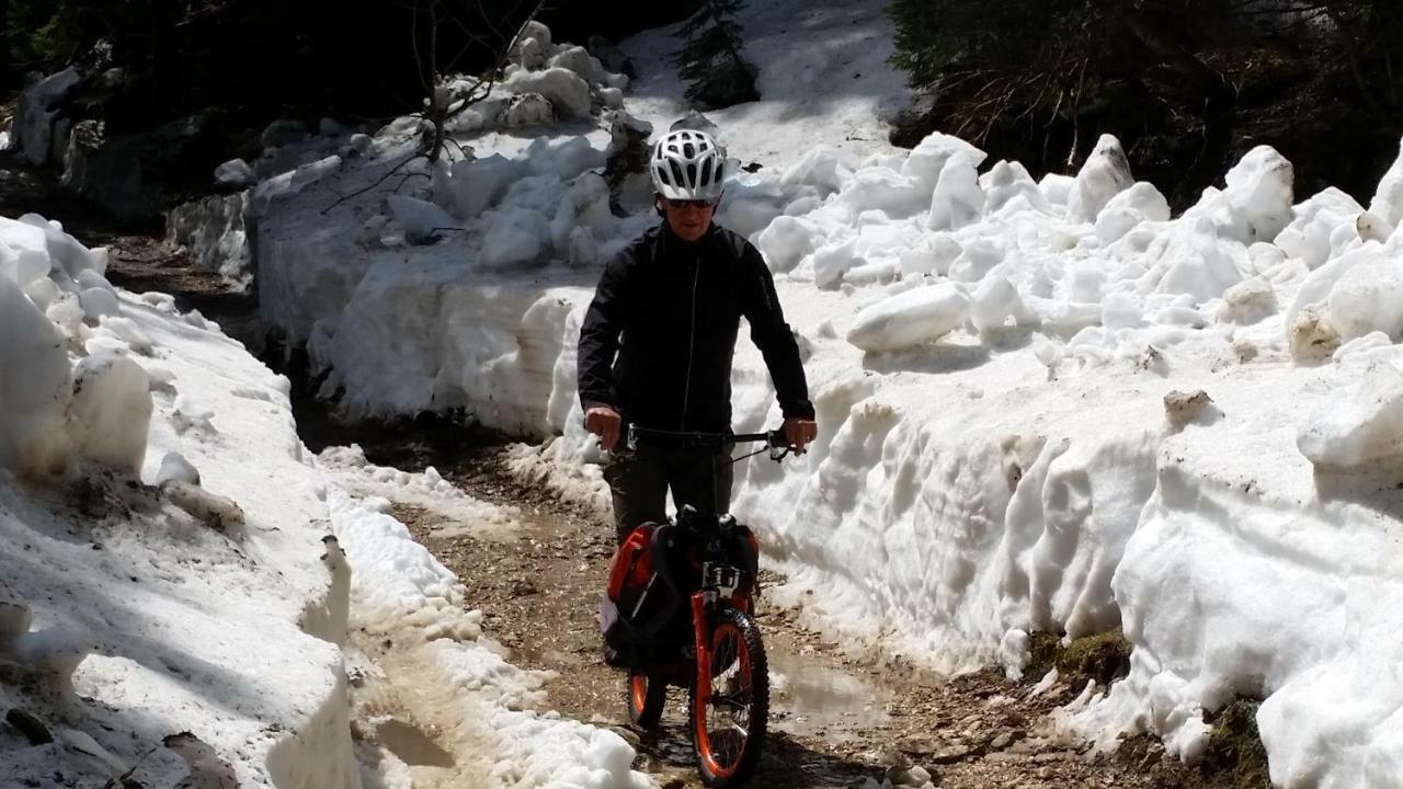 Snezak * Bohinj