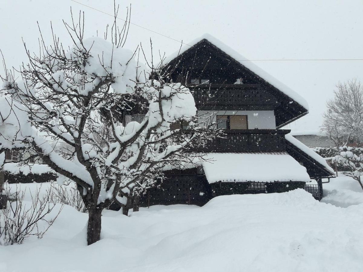 Snezak * Bohinj