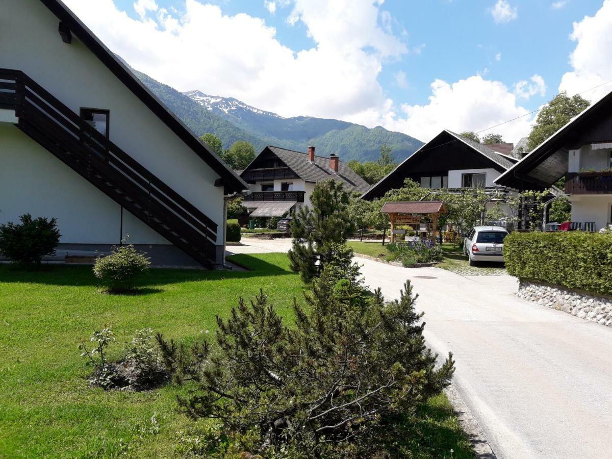 Snezak * Bohinj