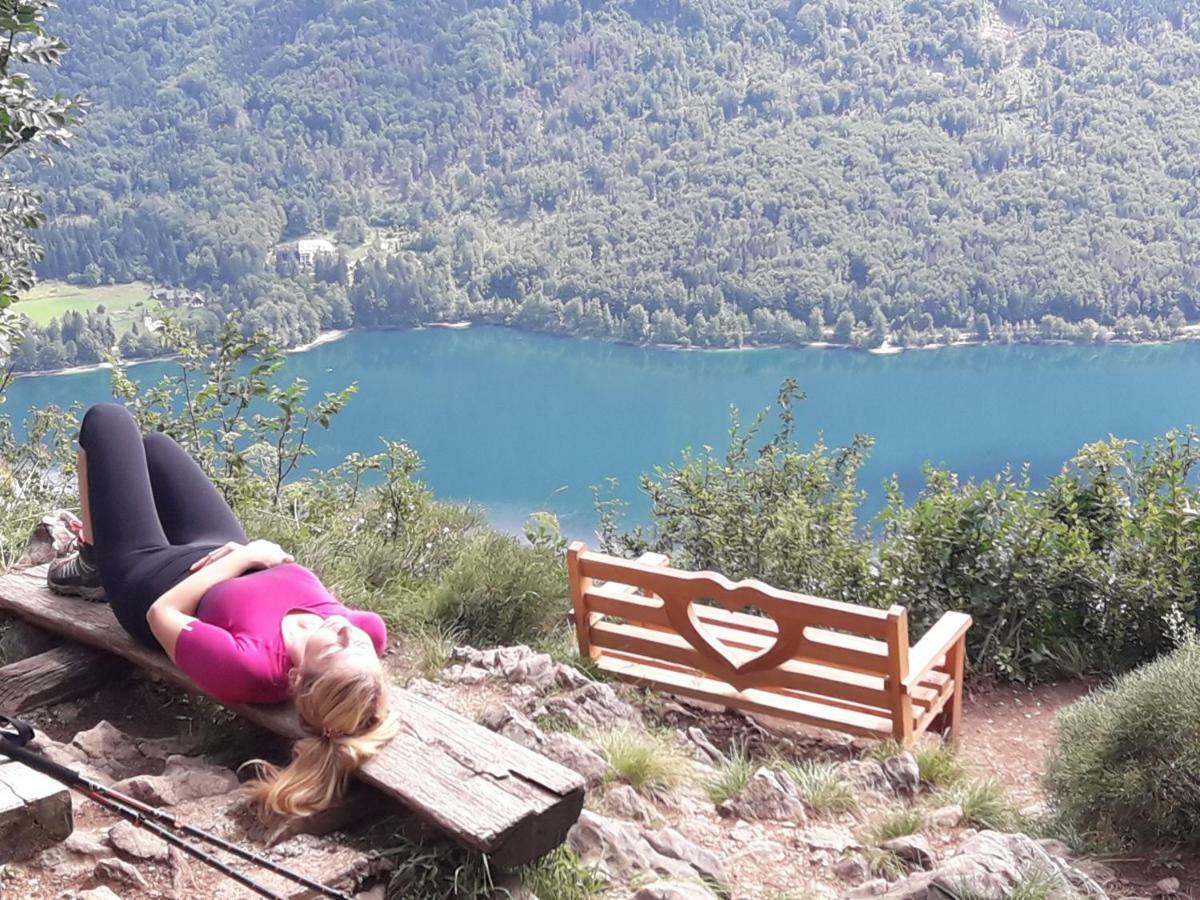 Apartmán Snezak Bohinj