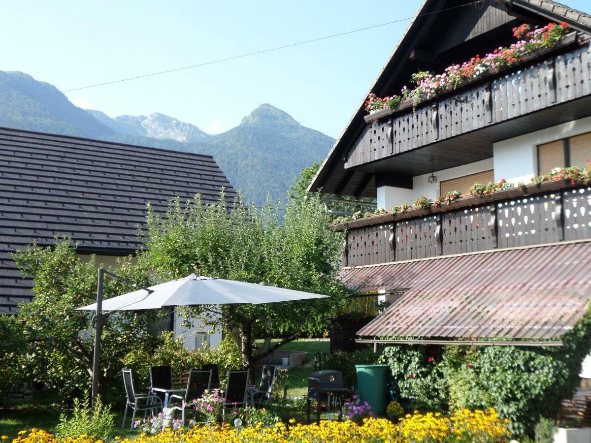 Snezak Bohinj
