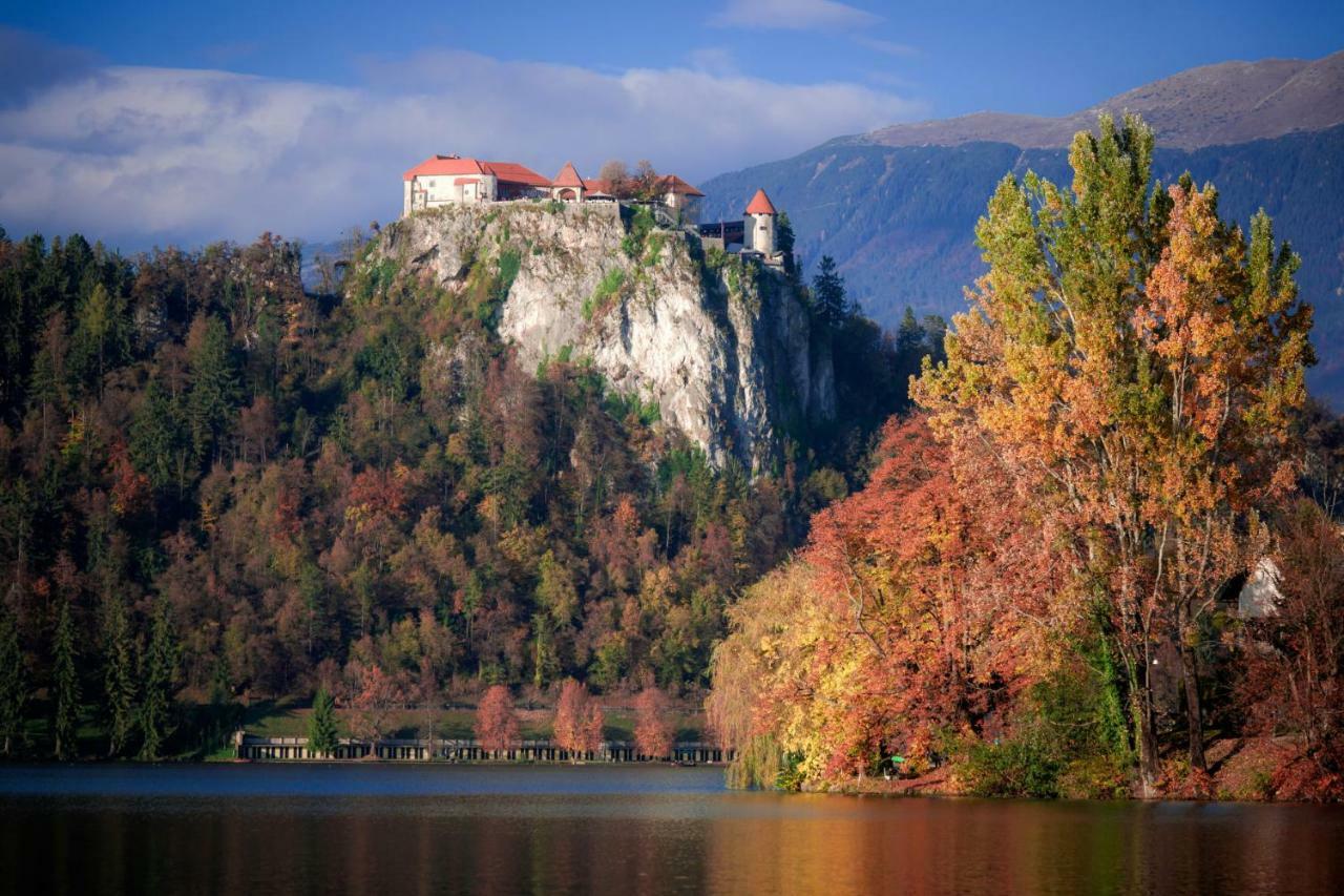 Snezak Bohinj